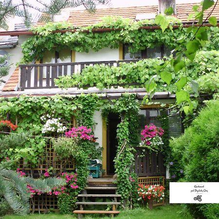 Apartament Pod Strzelecka Gora يلينيا غورا المظهر الخارجي الصورة